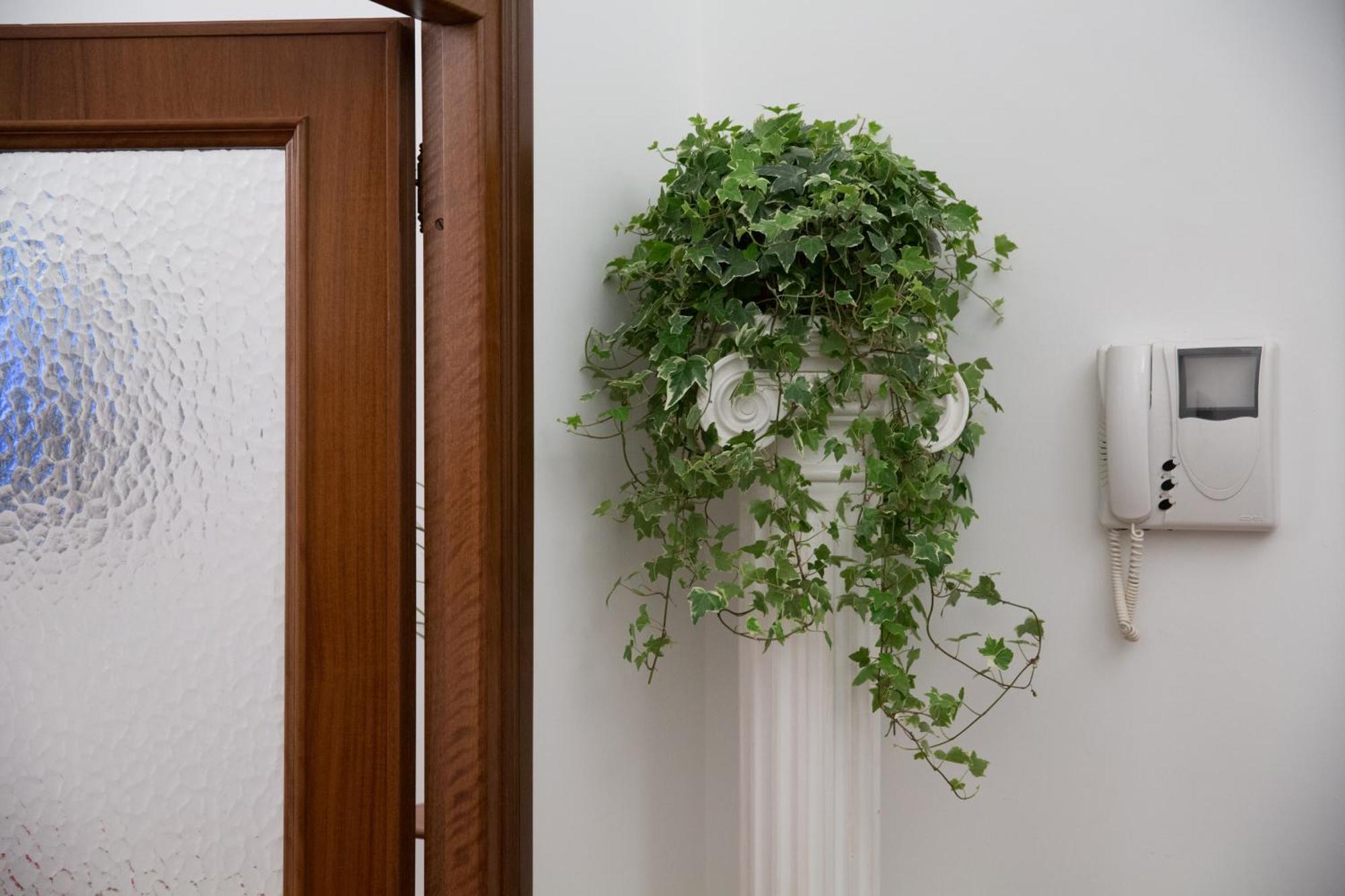 Saint Peter Apartment